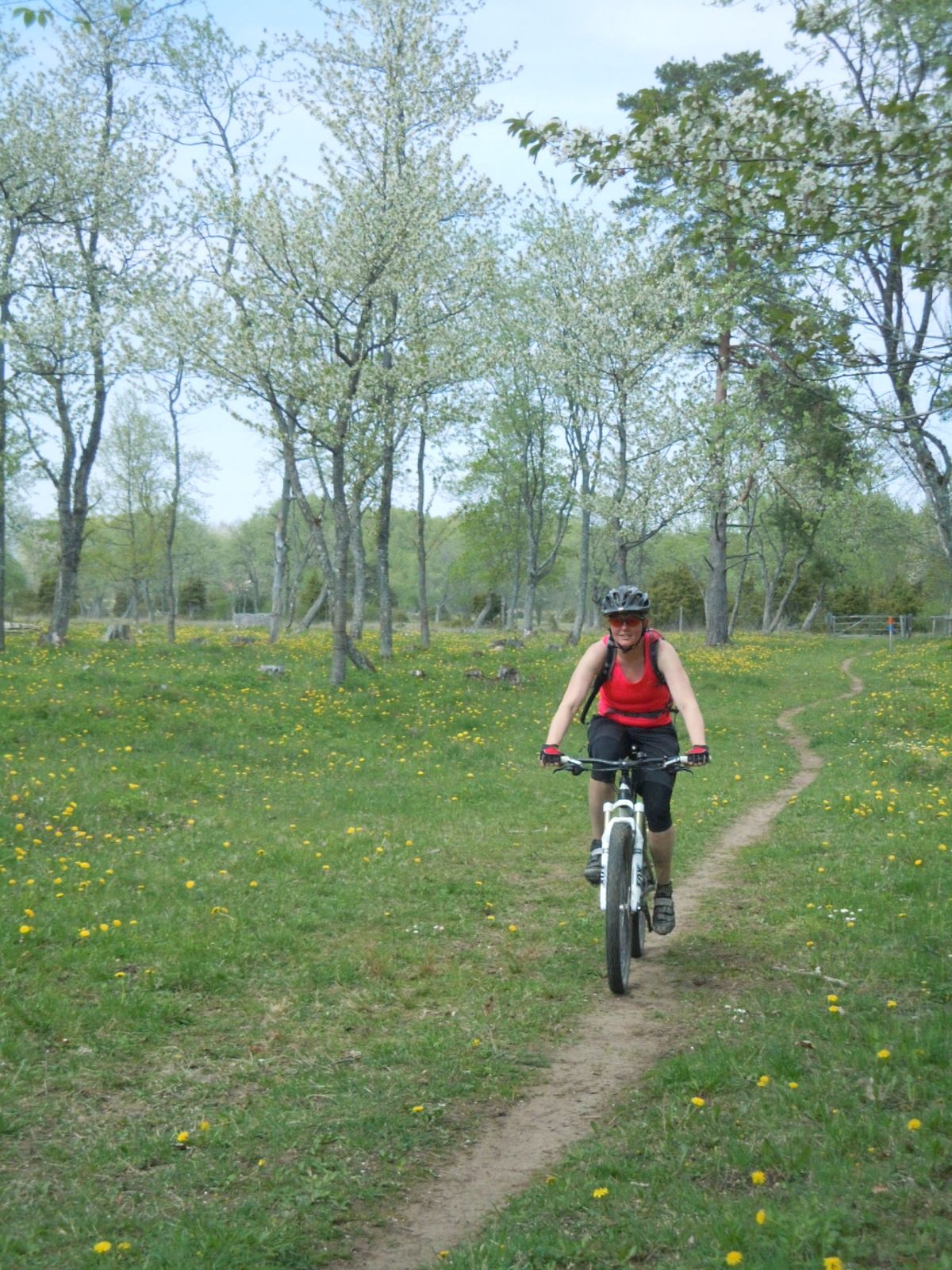 DSCN2234.JPG