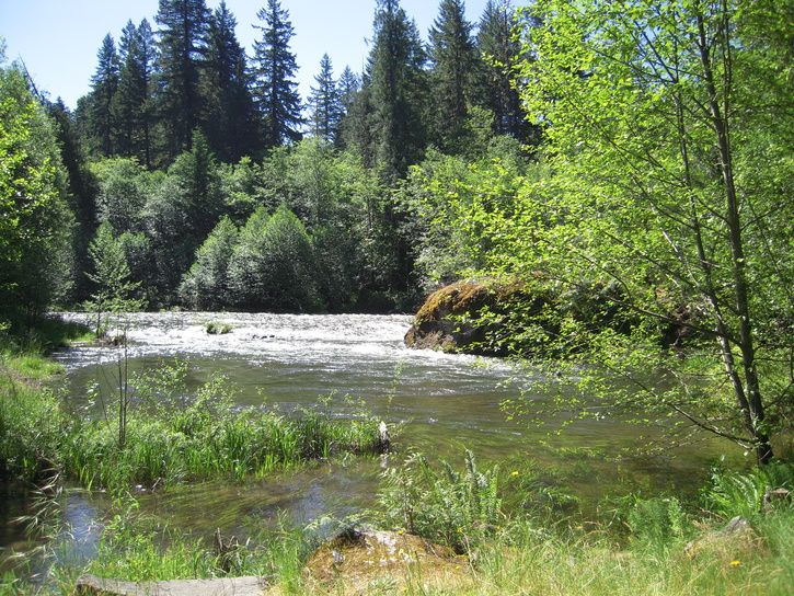 DSCN2278.JPG