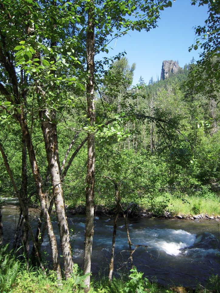 DSCN2288.JPG