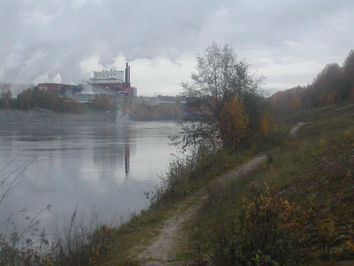 DSCN2339.JPG ht=544