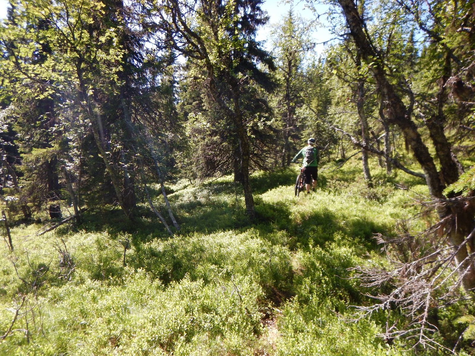 DSCN2356.JPG