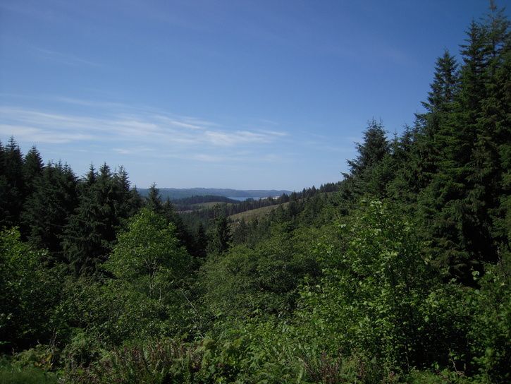 DSCN2407.JPG