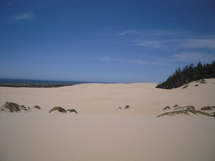 DSCN2412.JPG