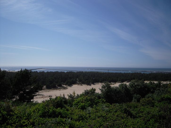 DSCN2419.JPG