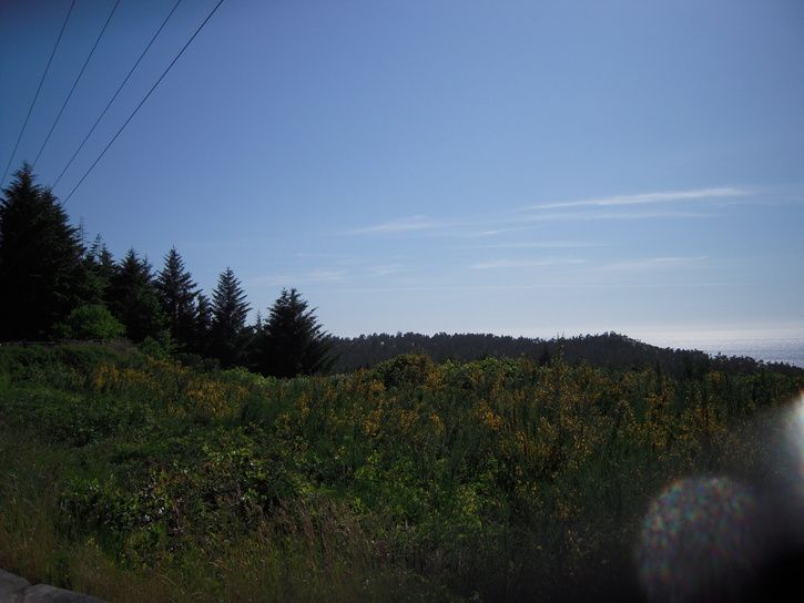 DSCN2421.JPG