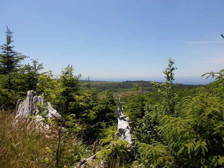 DSCN2428.JPG