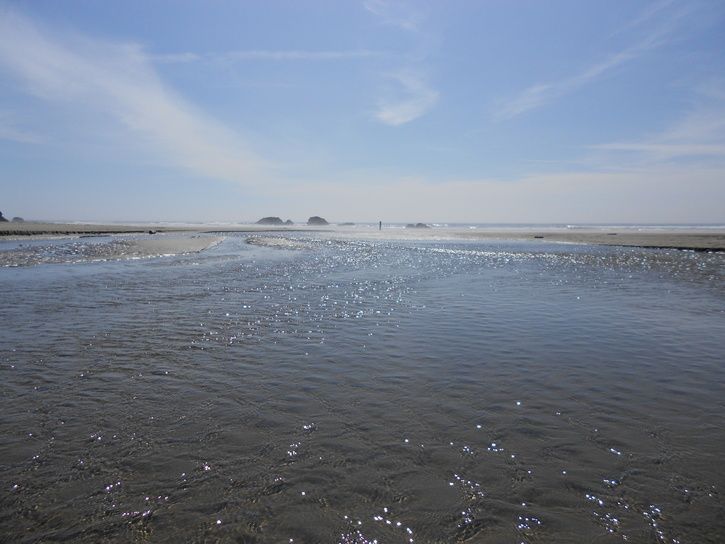 DSCN2507.JPG