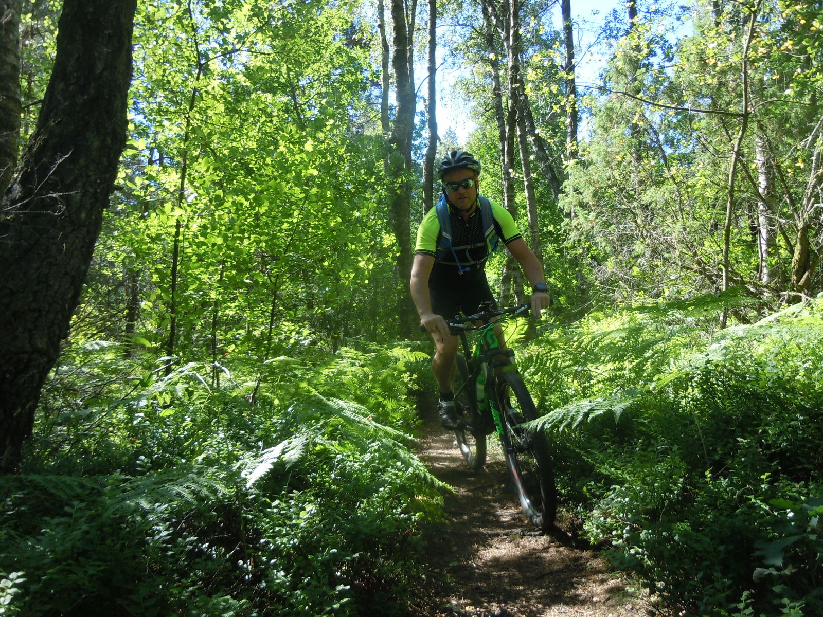 DSCN3145.JPG
