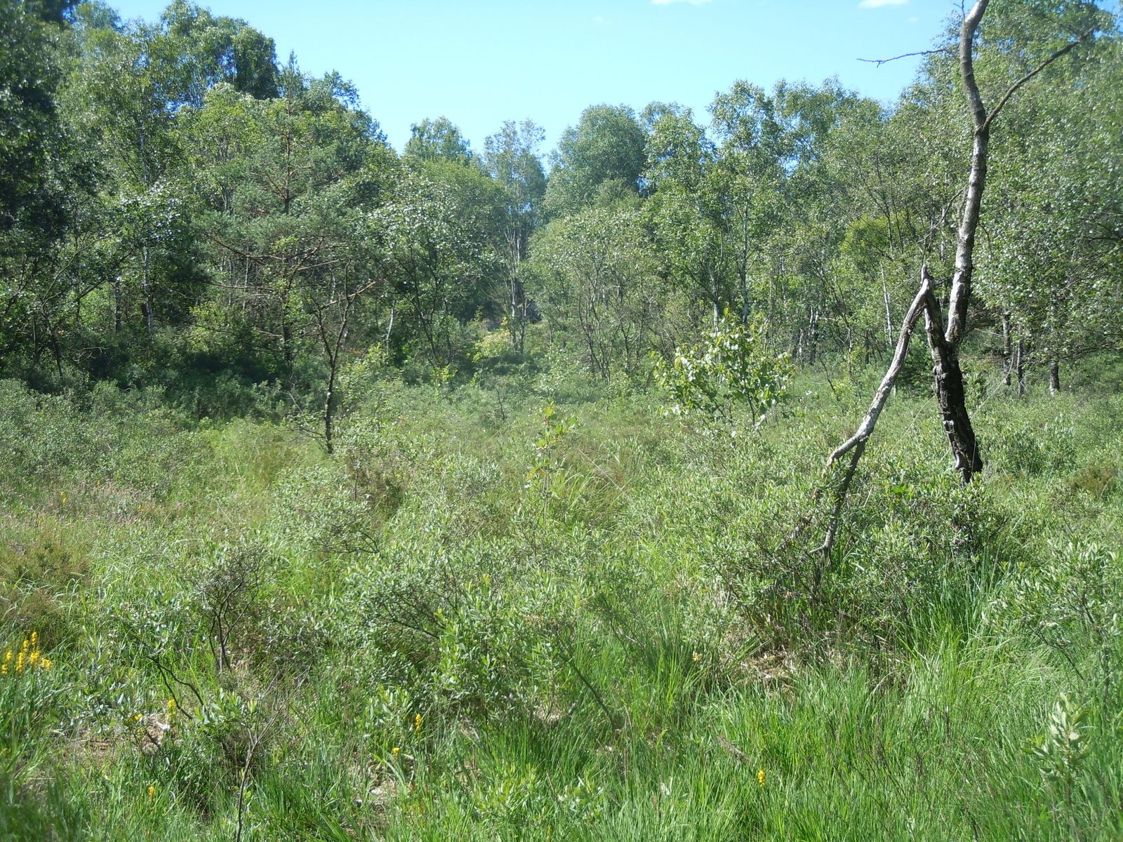 DSCN3150.JPG