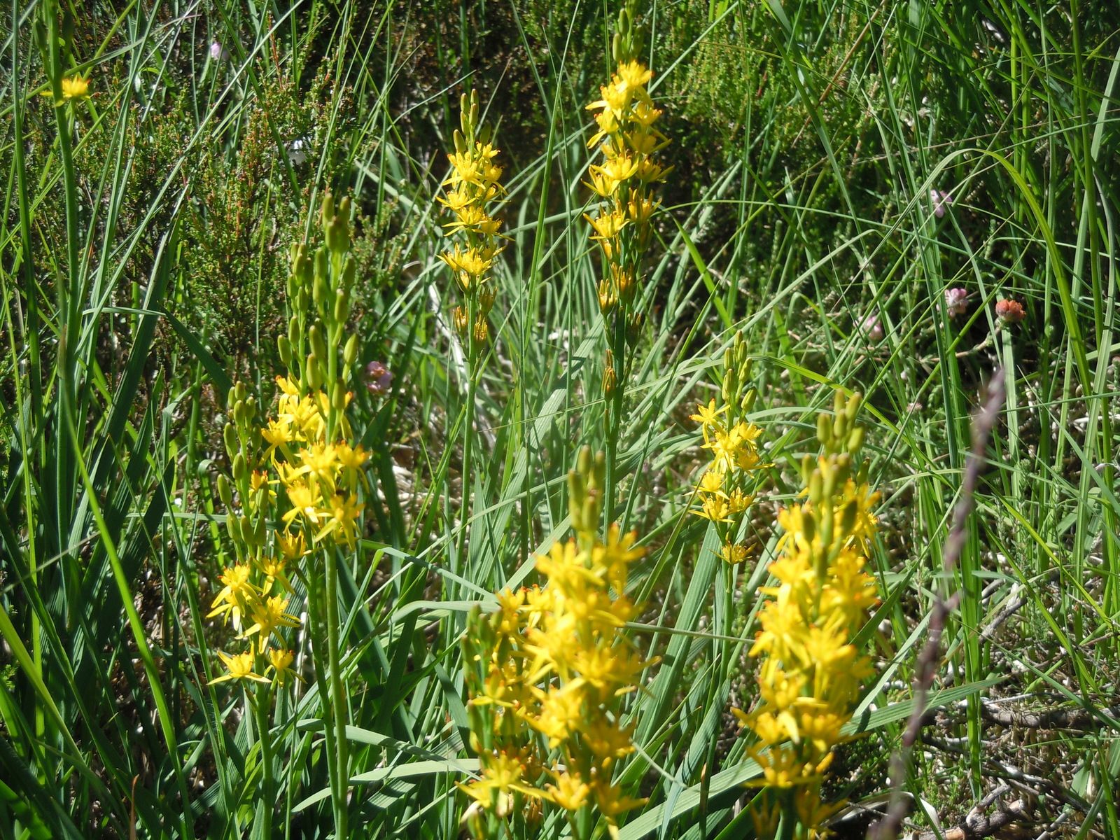 DSCN3151.JPG