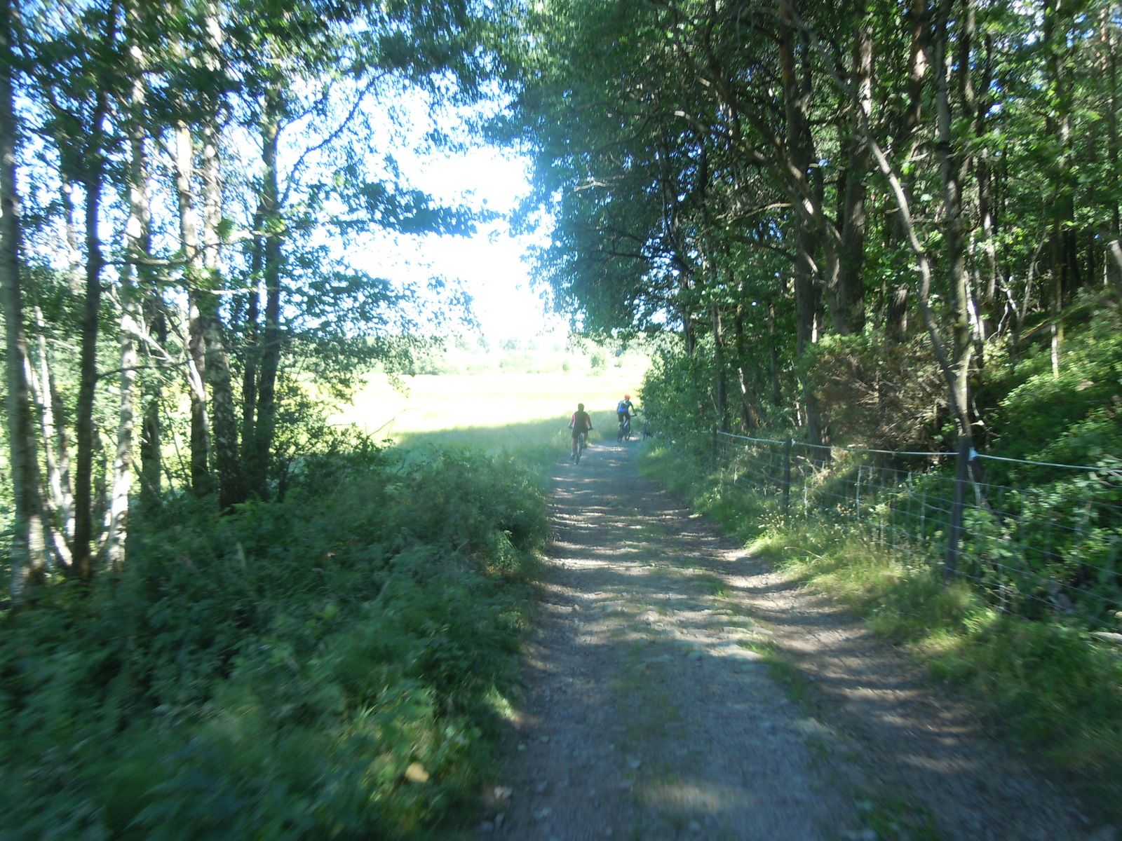 DSCN3162.JPG