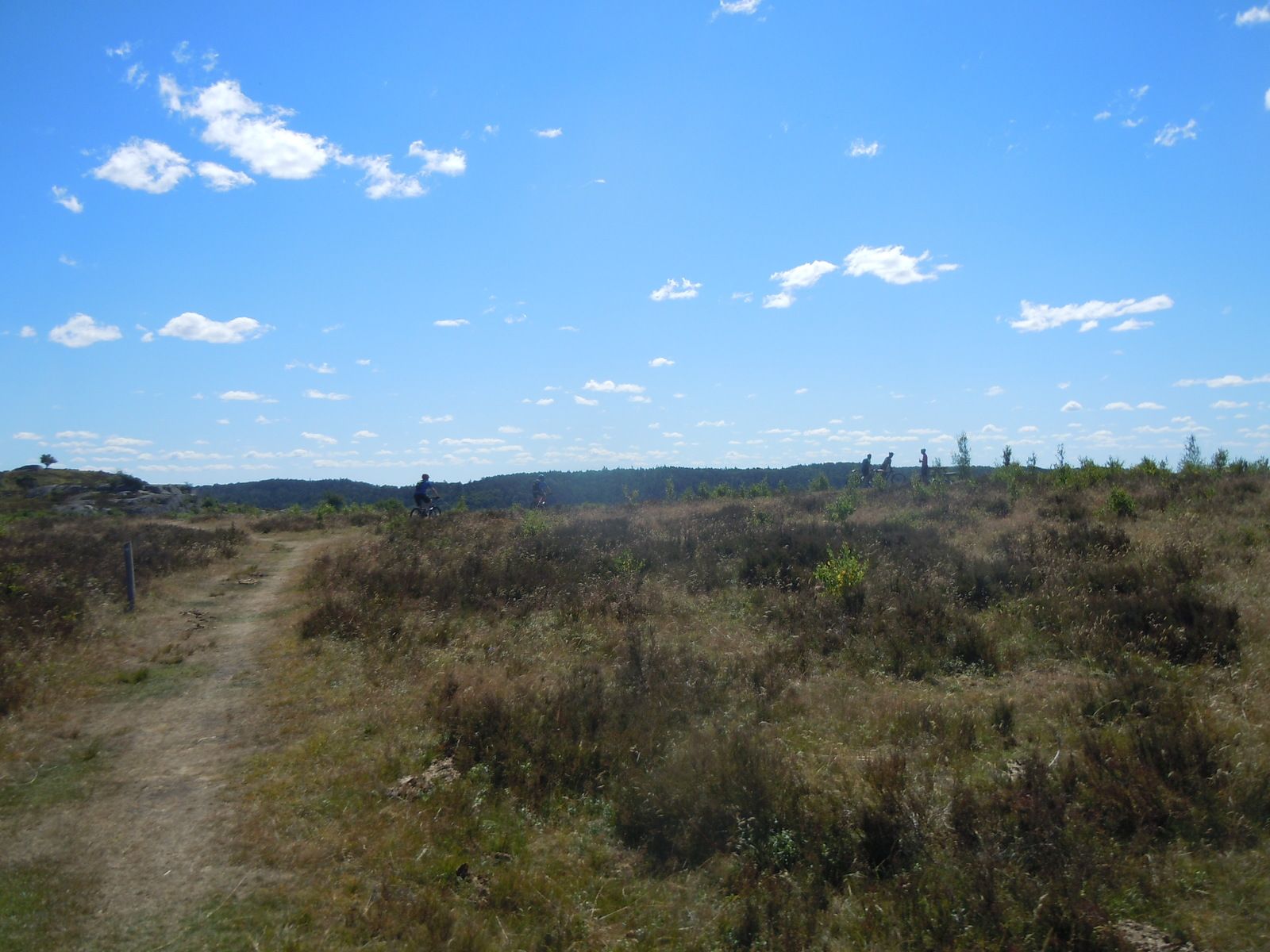 DSCN3169.JPG