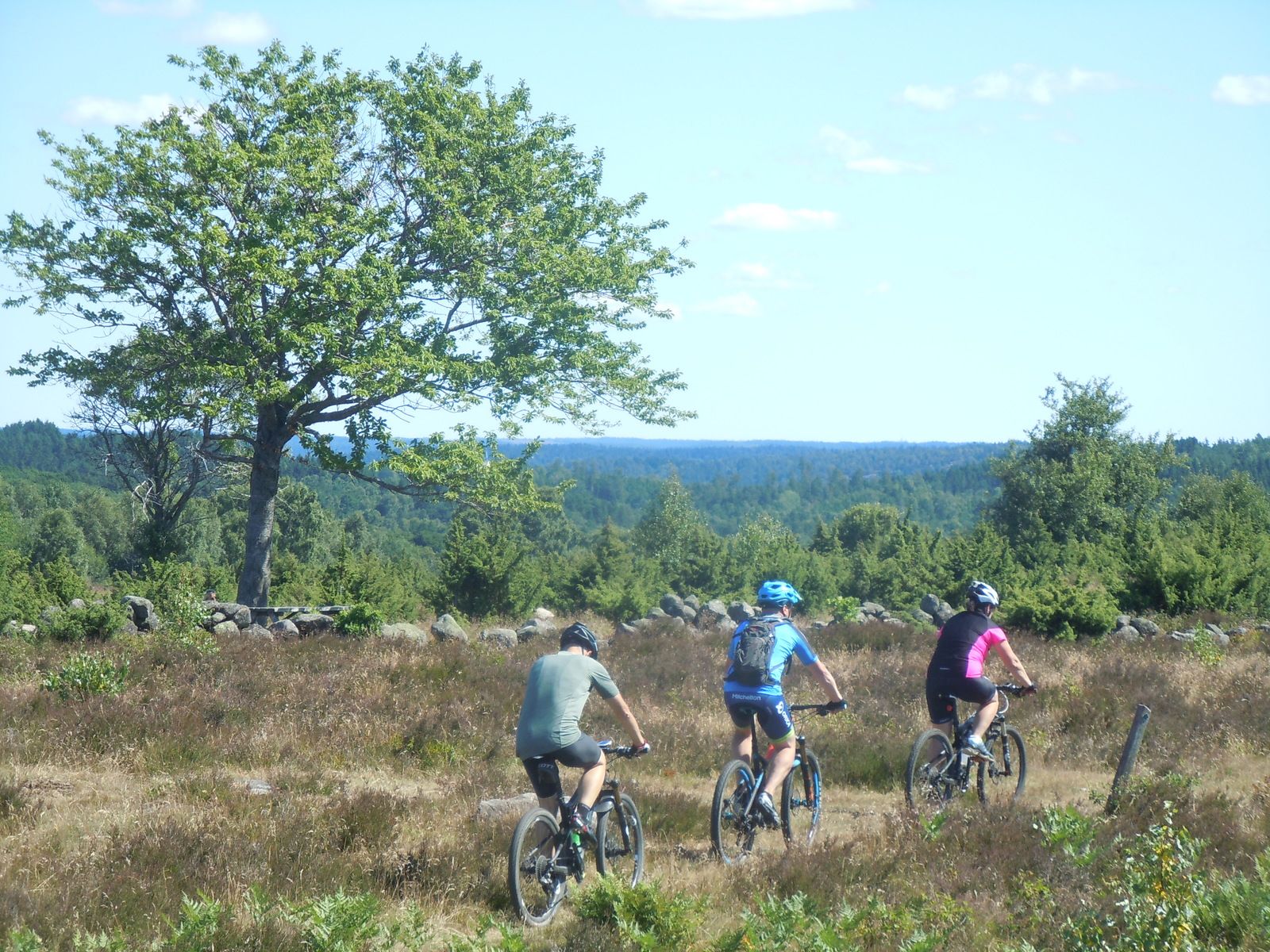 DSCN3175.JPG