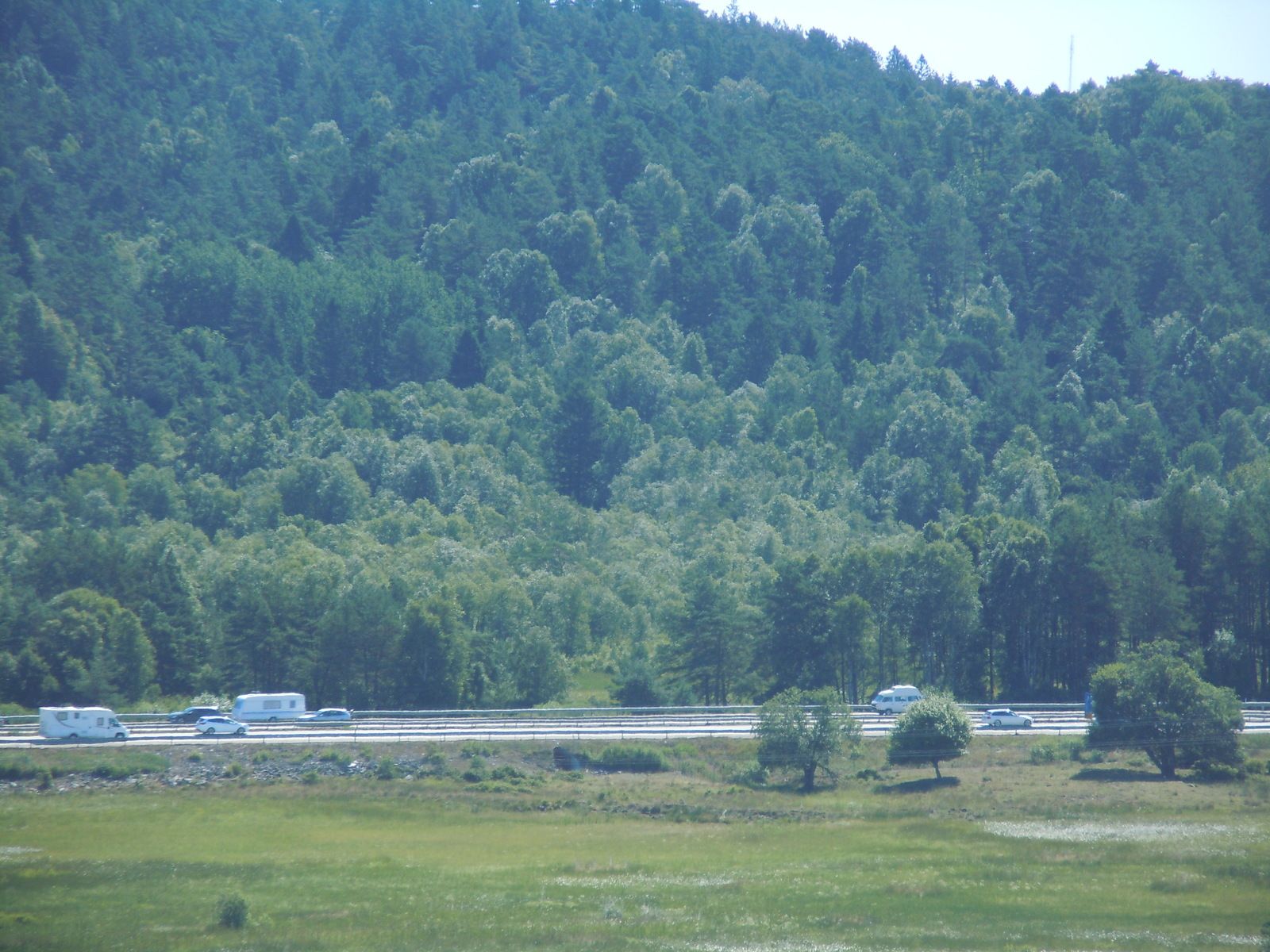 DSCN3177.JPG