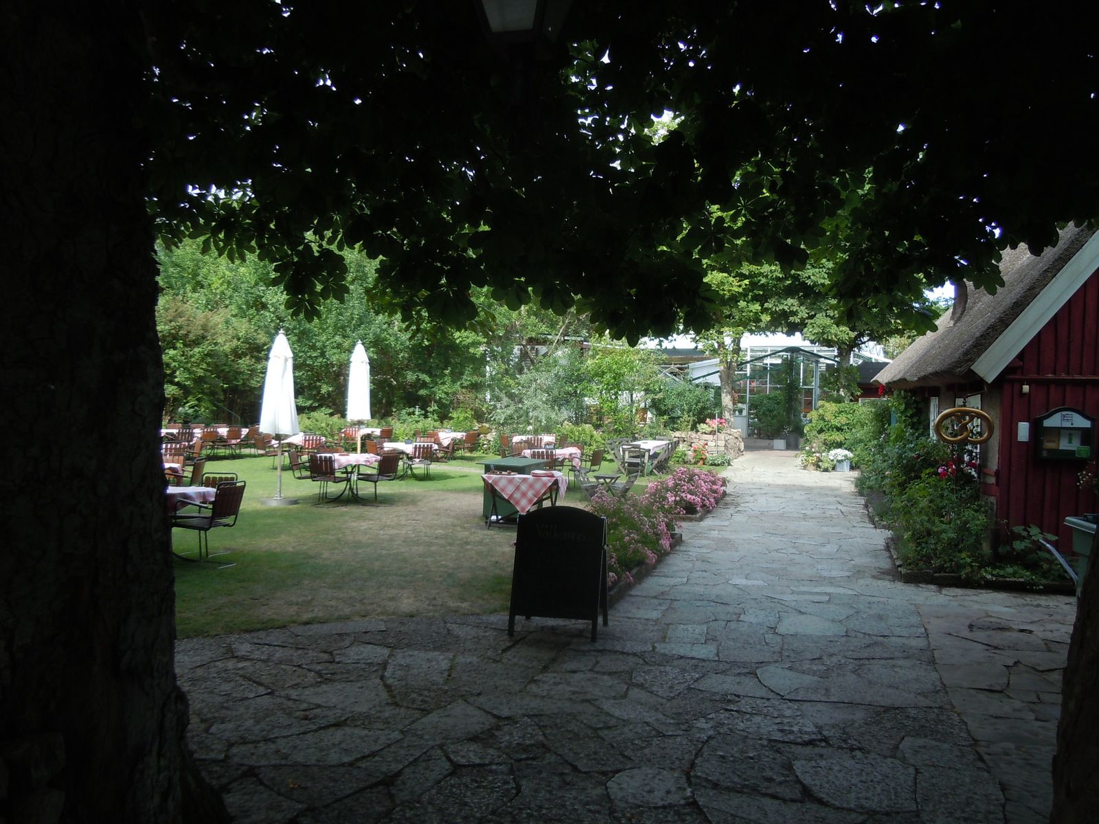 DSCN3205.JPG
