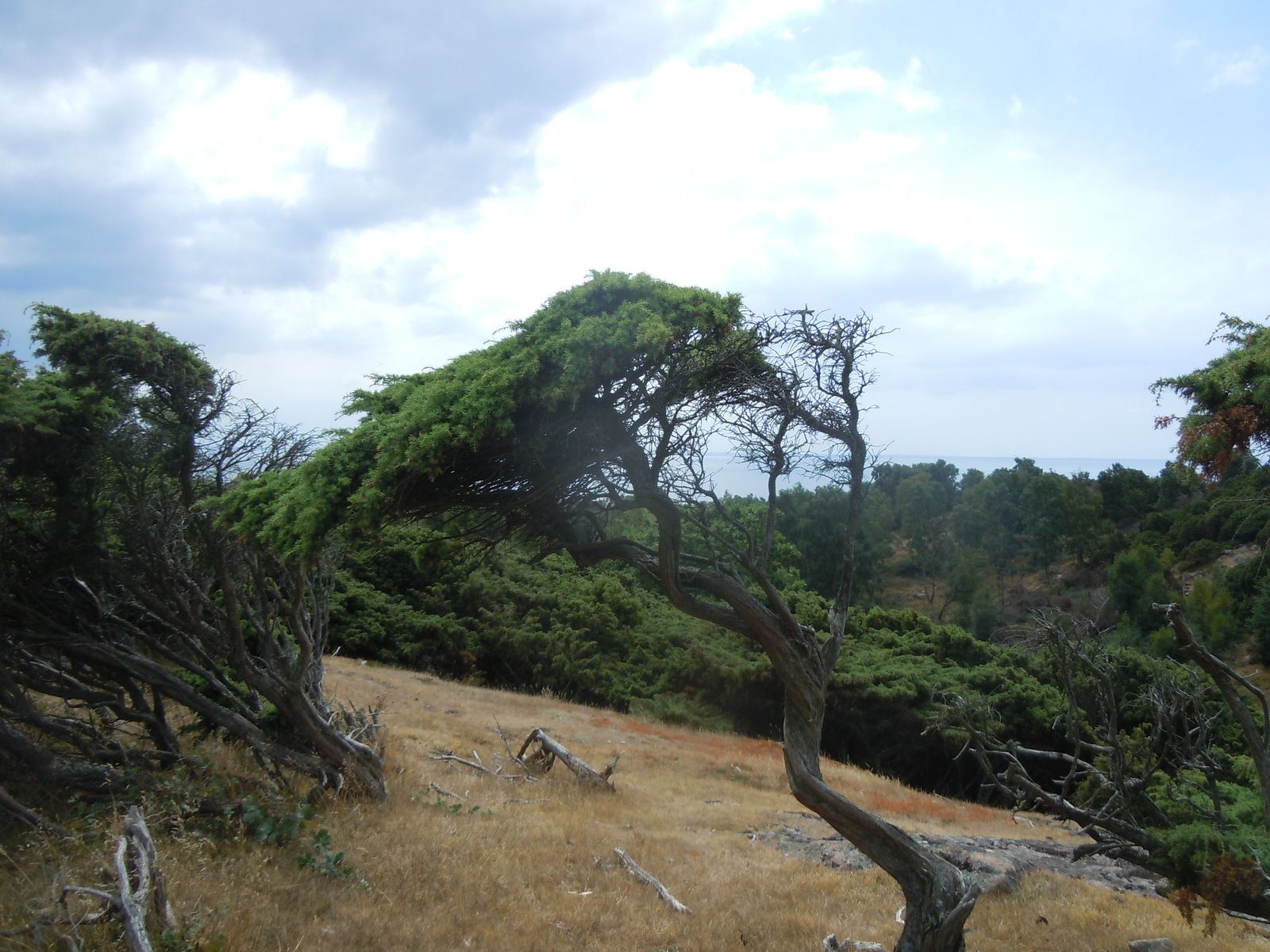 DSCN3254.JPG