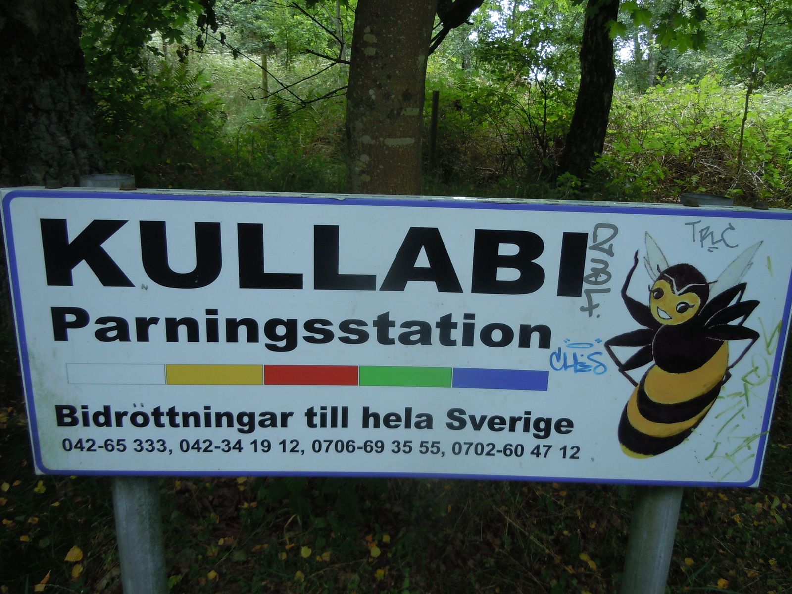 DSCN3257.JPG