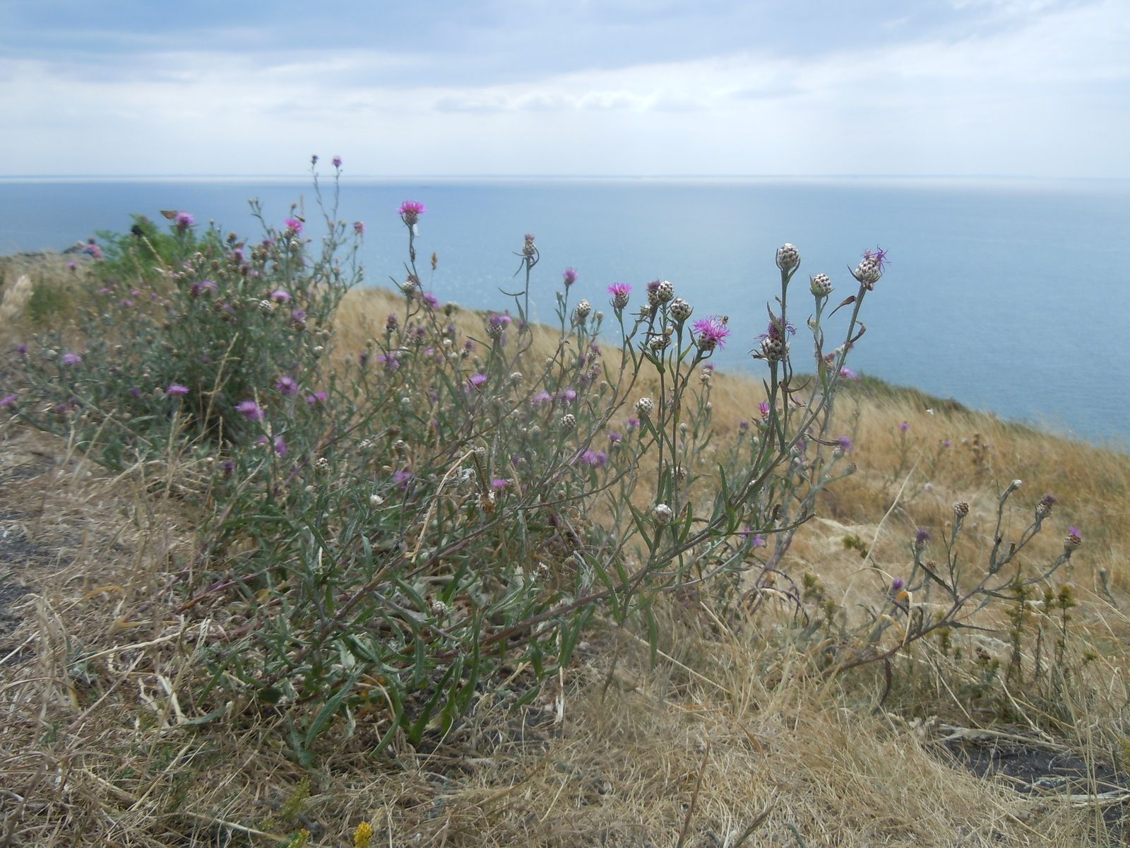 DSCN3260.JPG