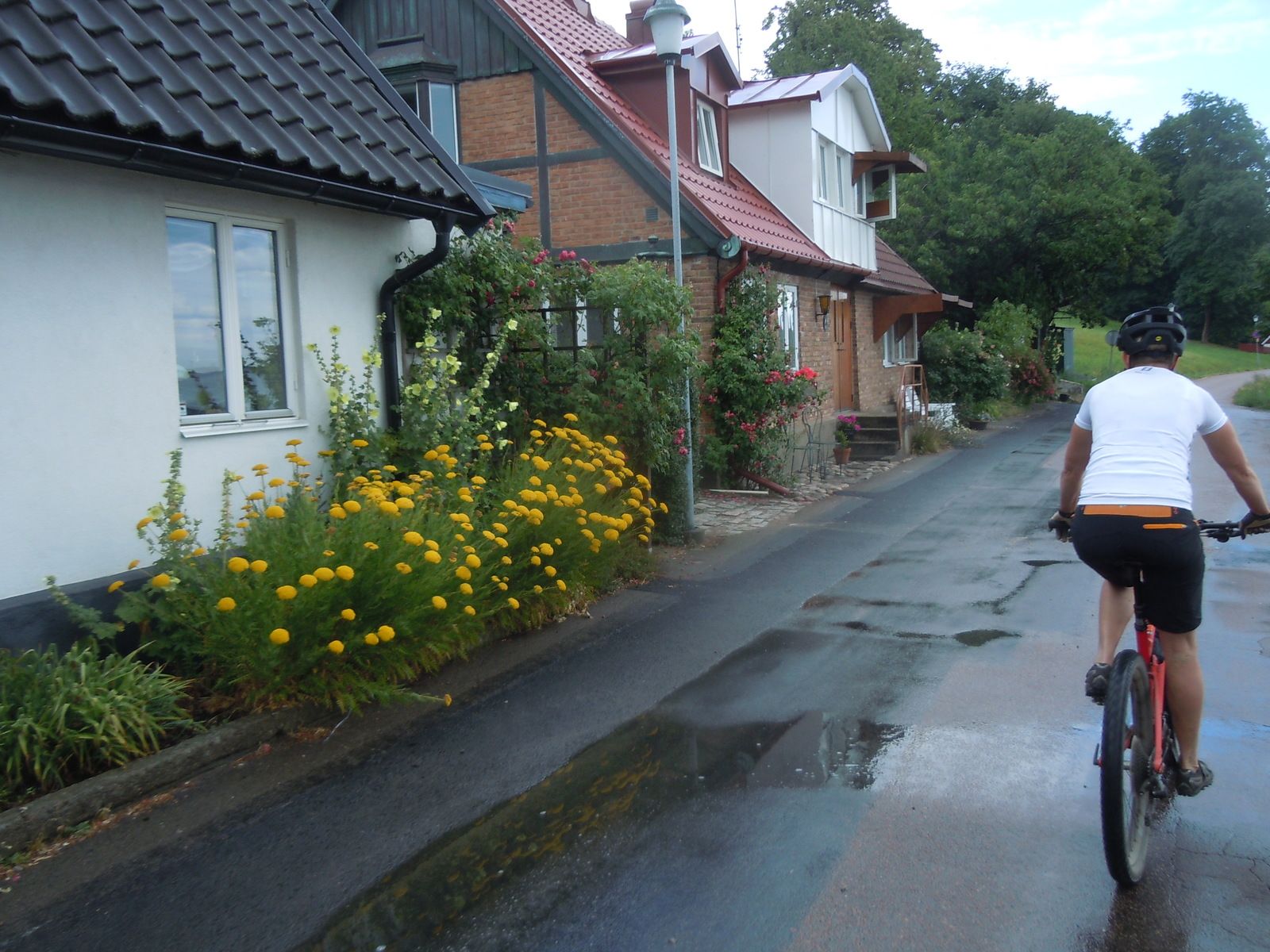 DSCN3269.JPG