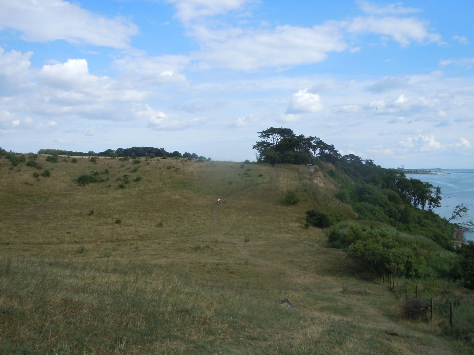 DSCN3272.JPG