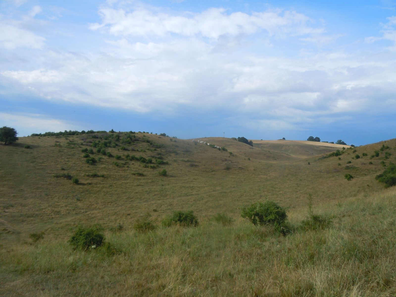 DSCN3276.JPG