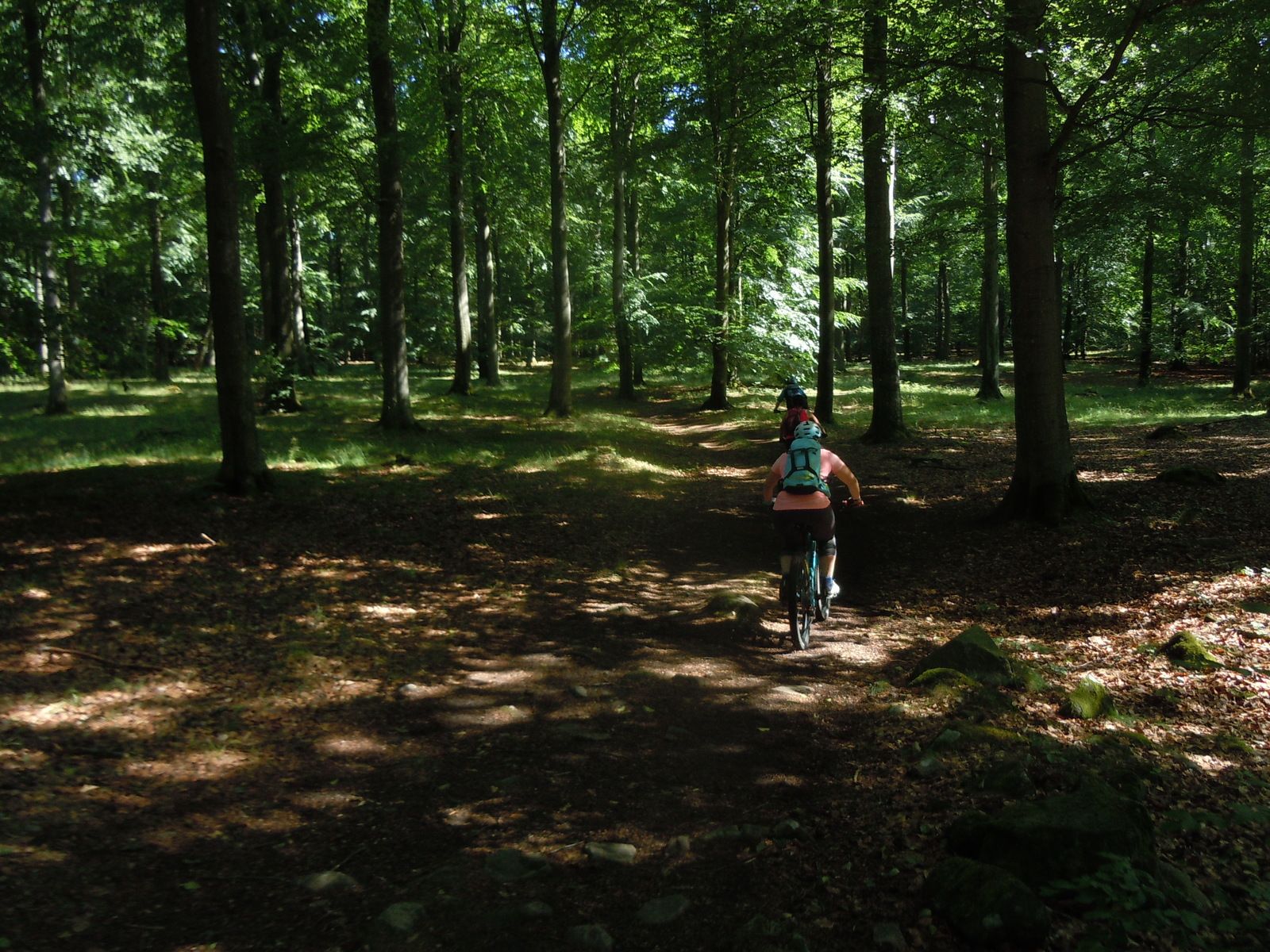DSCN3295.JPG