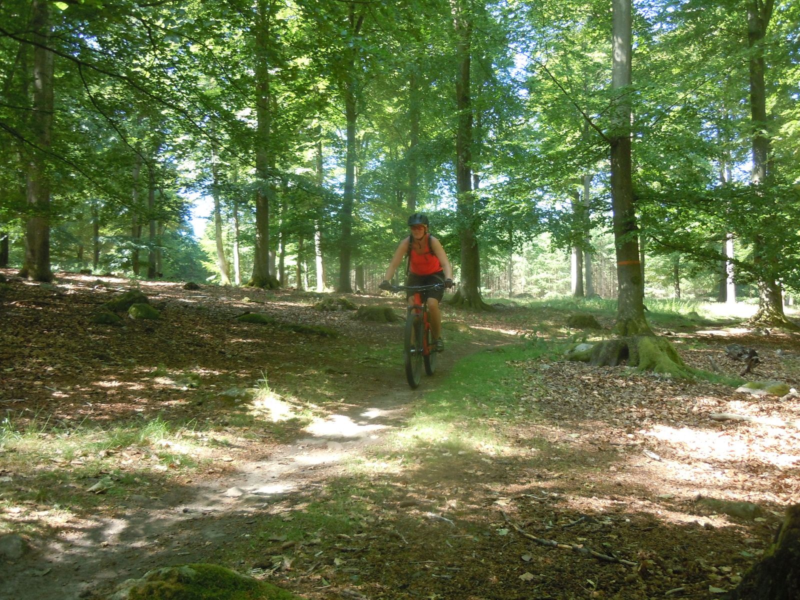 DSCN3304.JPG