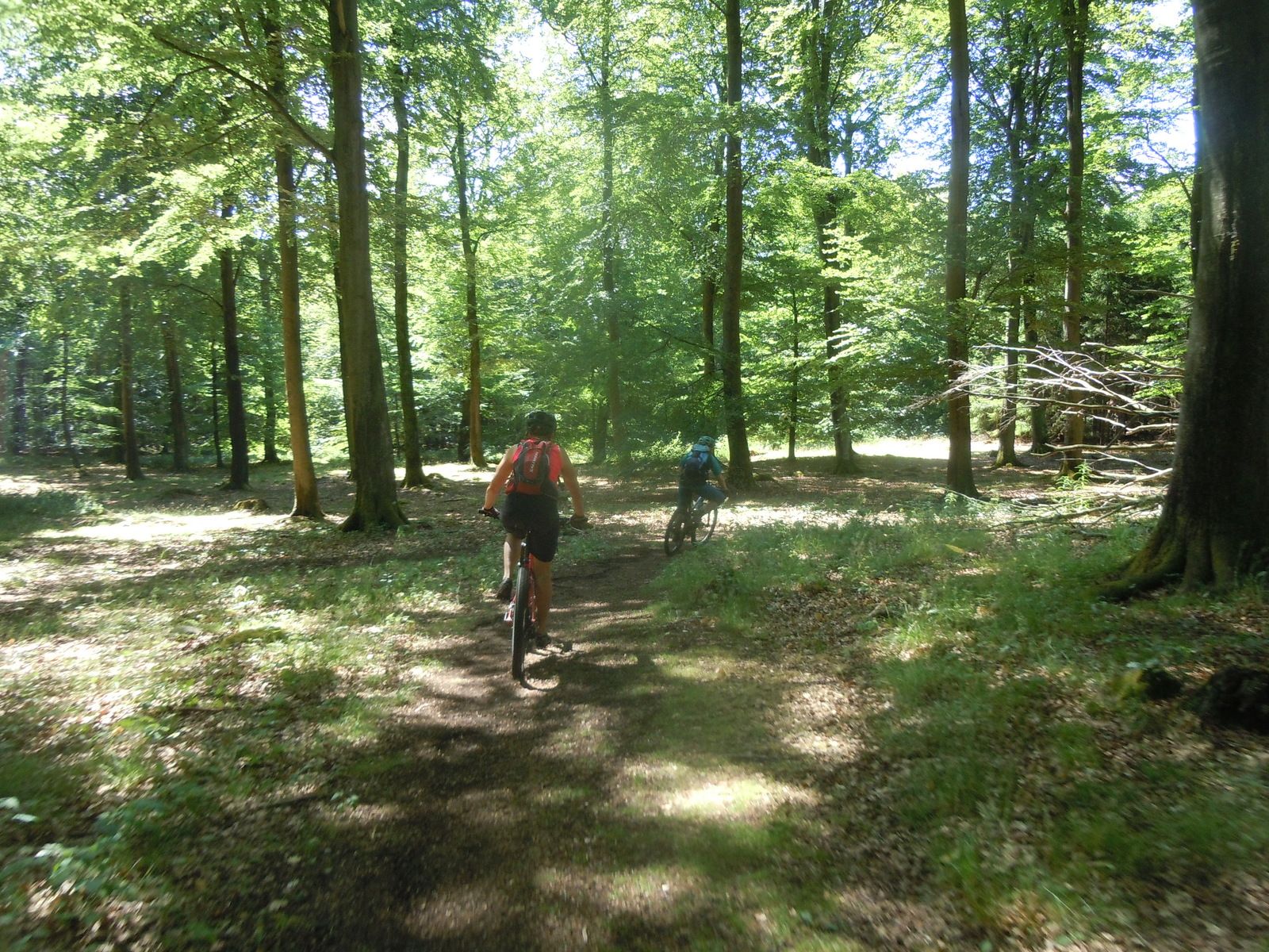 DSCN3307.JPG