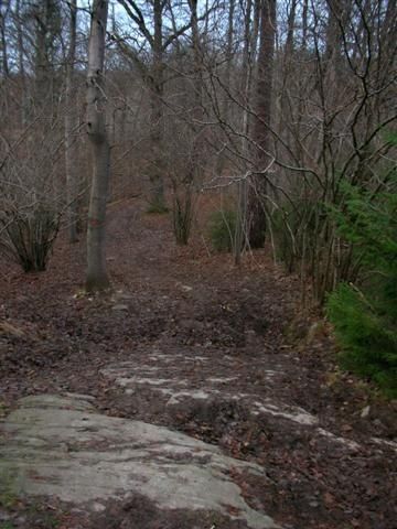 DSCN3841.JPG ht=480