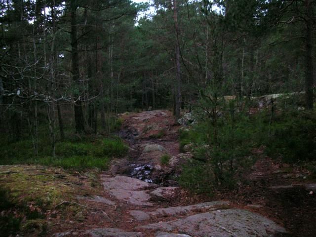 DSCN3843.JPG ht=480