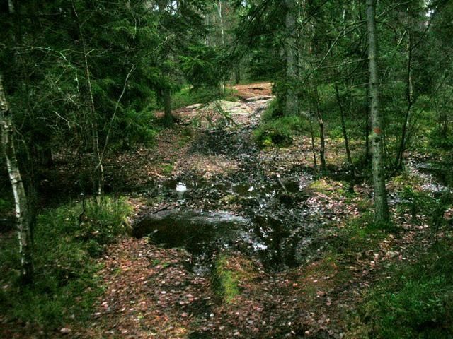 DSCN3846.JPG ht=480