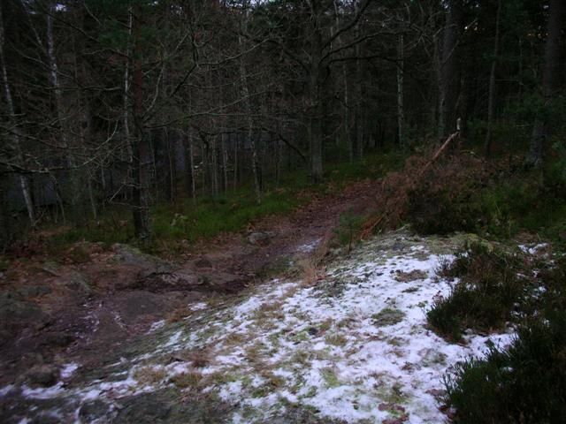 DSCN3847.JPG ht=480