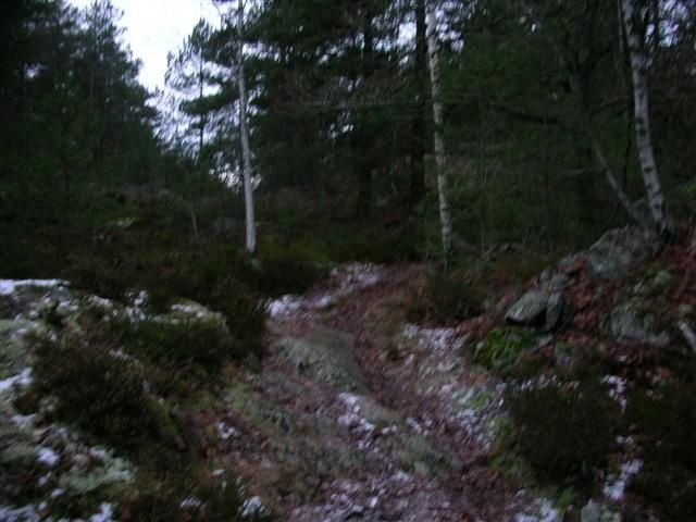 DSCN3848.JPG ht=480