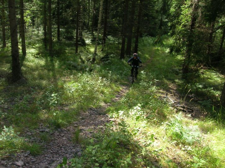 DSCN3893.JPG ht=544