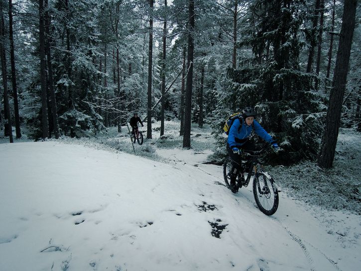 DSCN5730.jpg