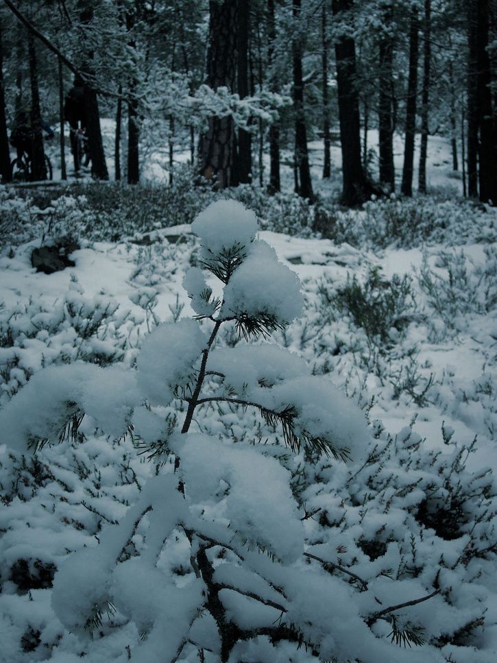 DSCN5739.jpg