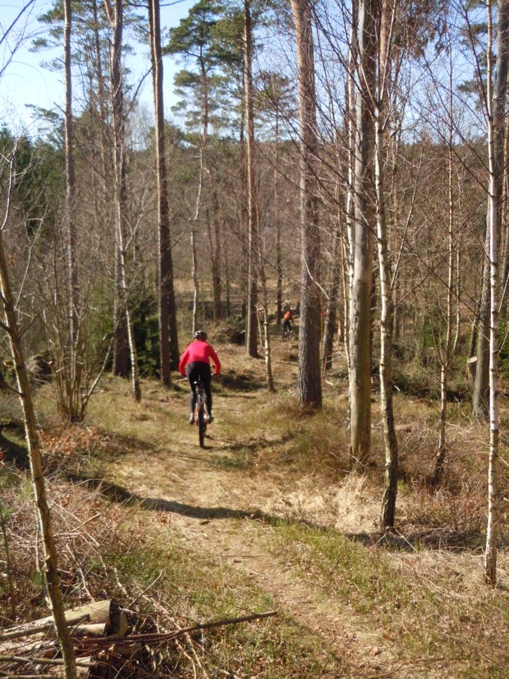 DSCN5795.JPG