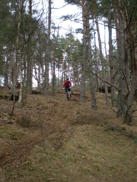 DSCN7544.JPG ht=725