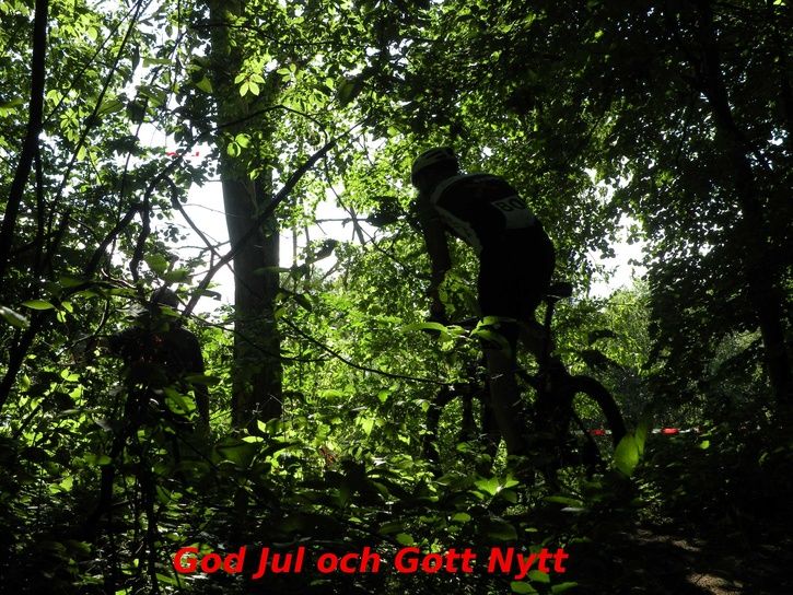 DSCN7604_god_jul.JPG ht=544