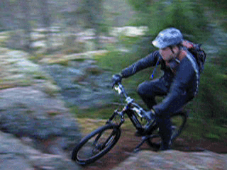 DSCN764429.gif ht=240