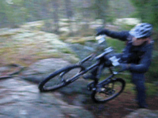 DSCN764433.gif ht=240