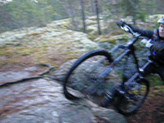 DSCN764436.gif ht=240