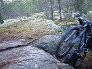 DSCN764439.gif ht=240