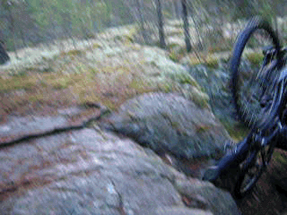 DSCN764442.gif ht=240