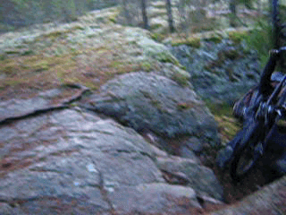 DSCN764445.gif ht=240