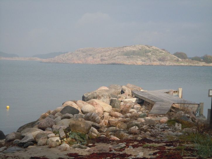 DSCN8629.JPG