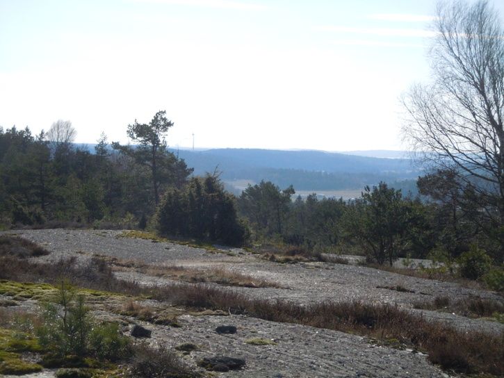 DSCN9151.JPG