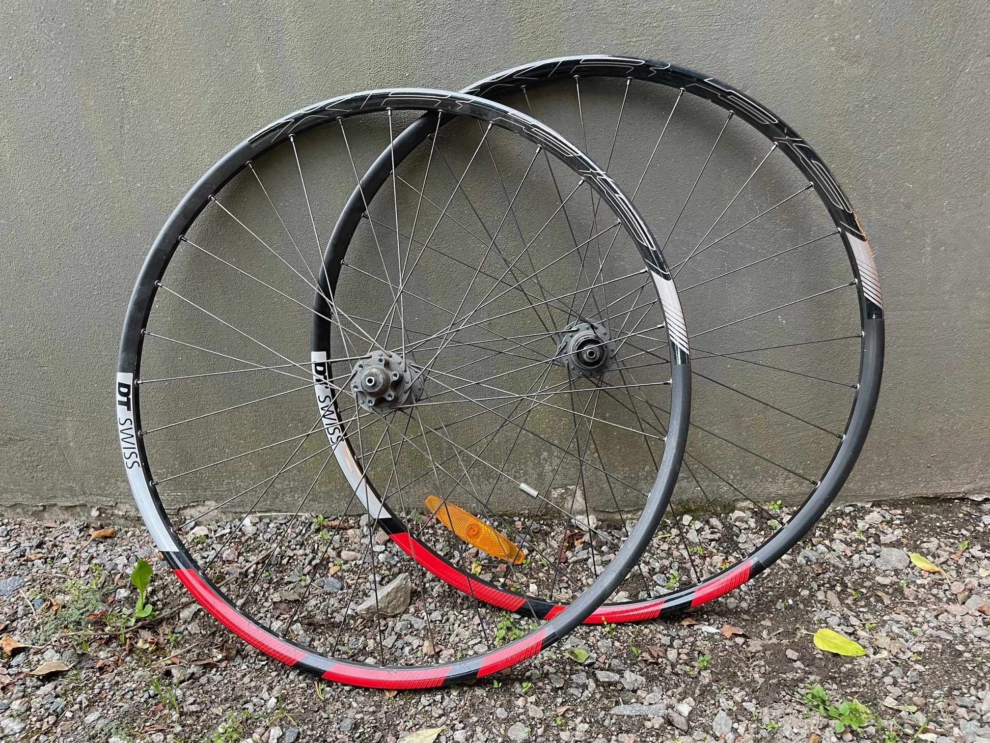 DT XR 39.webp