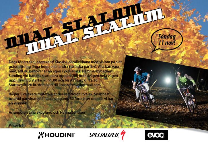 Dualslalom121111.jpg
