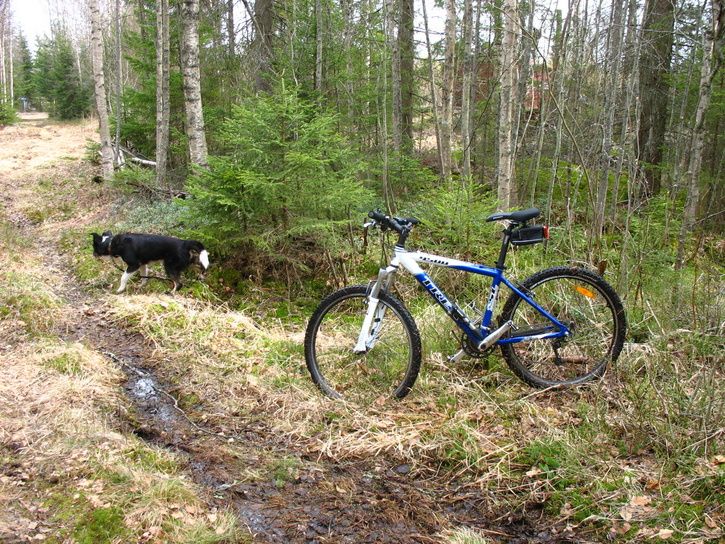 dubbelkpp.JPG ht=544